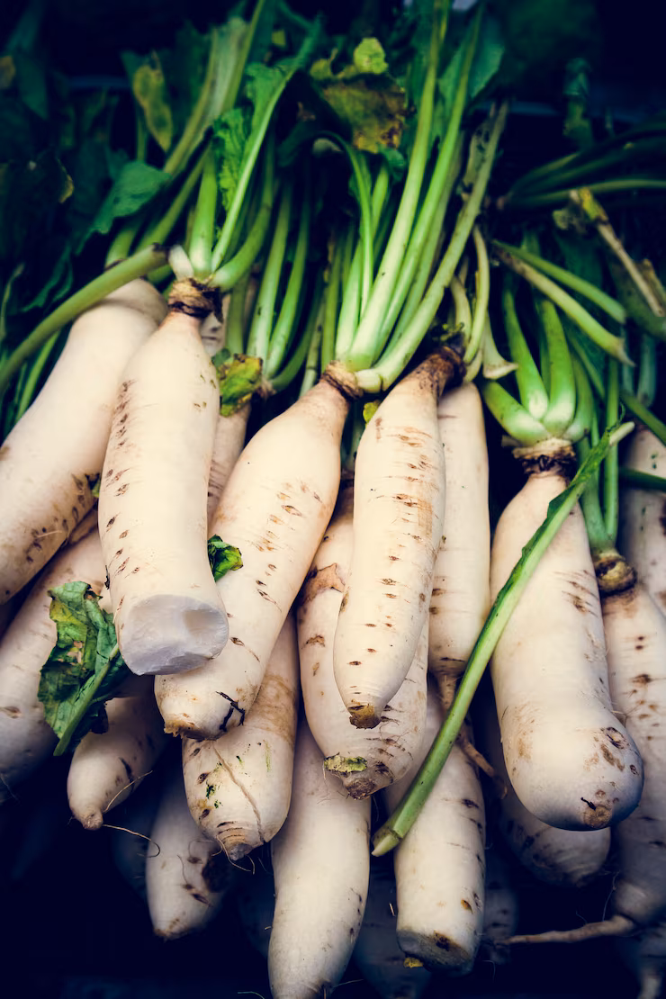 White Radish