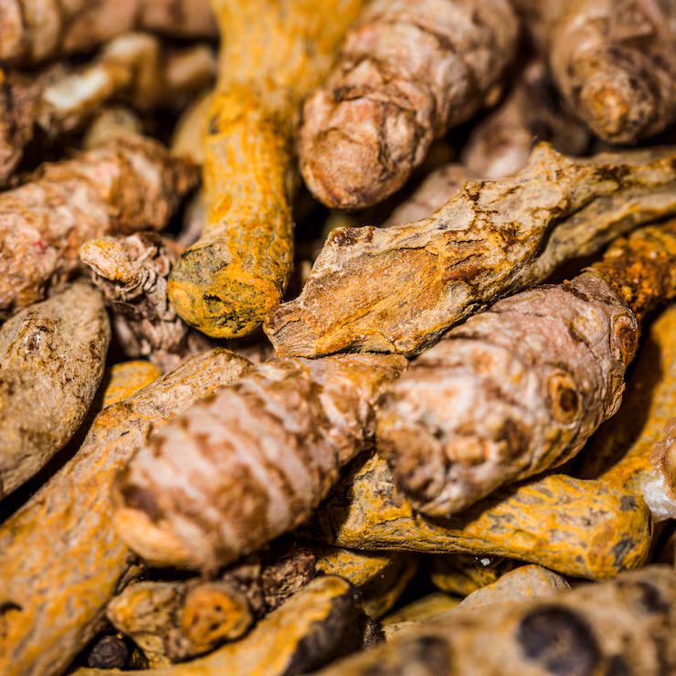 Turmeric